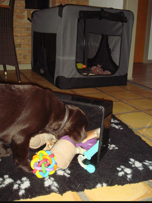 Choko med sin legetøjskasse